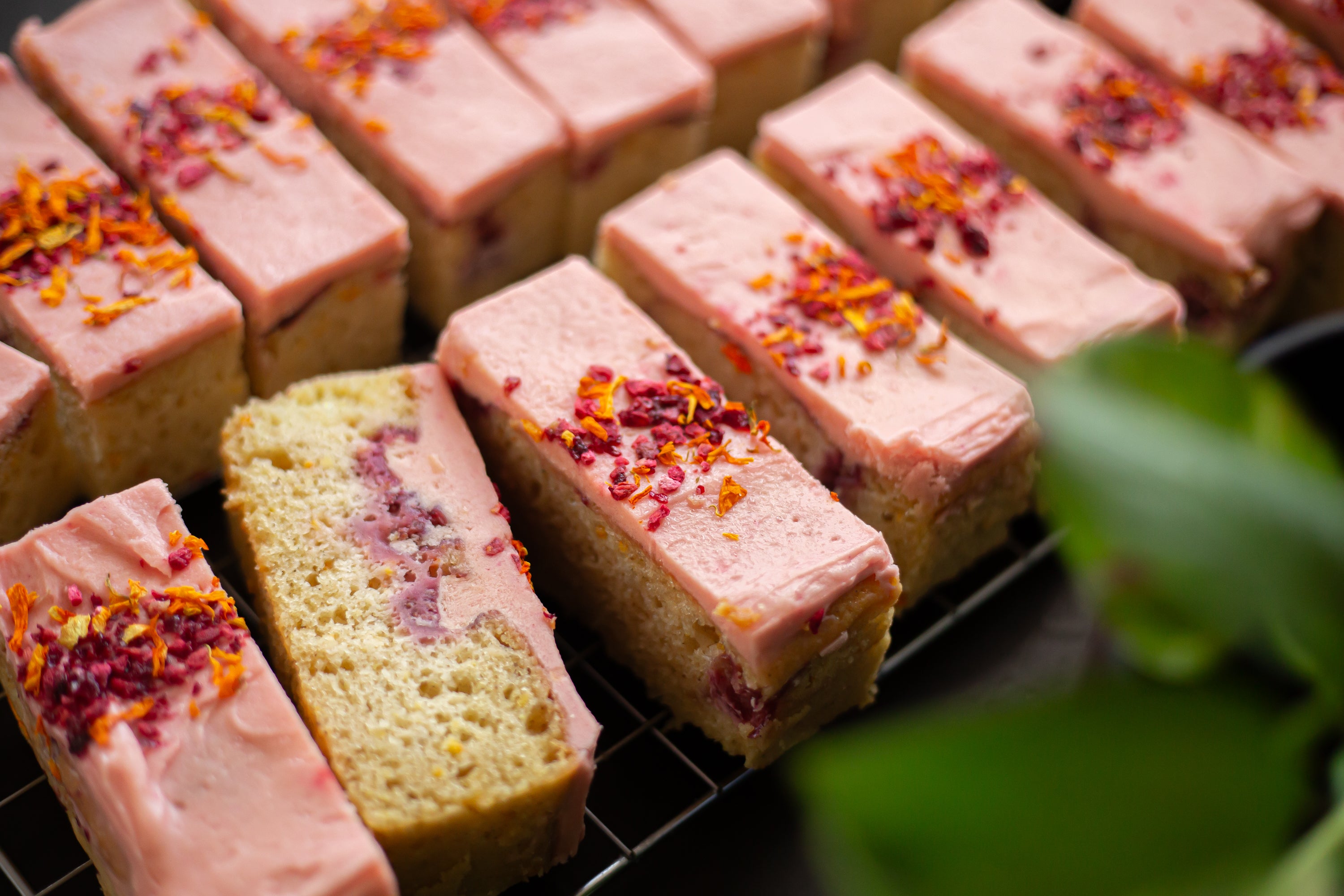 Row of pink Blood Orange and Raspberry cakes with orange zest on a cooling rack.