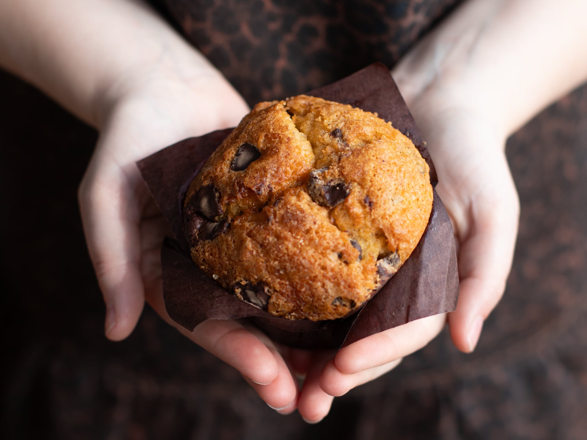 Chocolate chip muffin held between two hands against a dark background