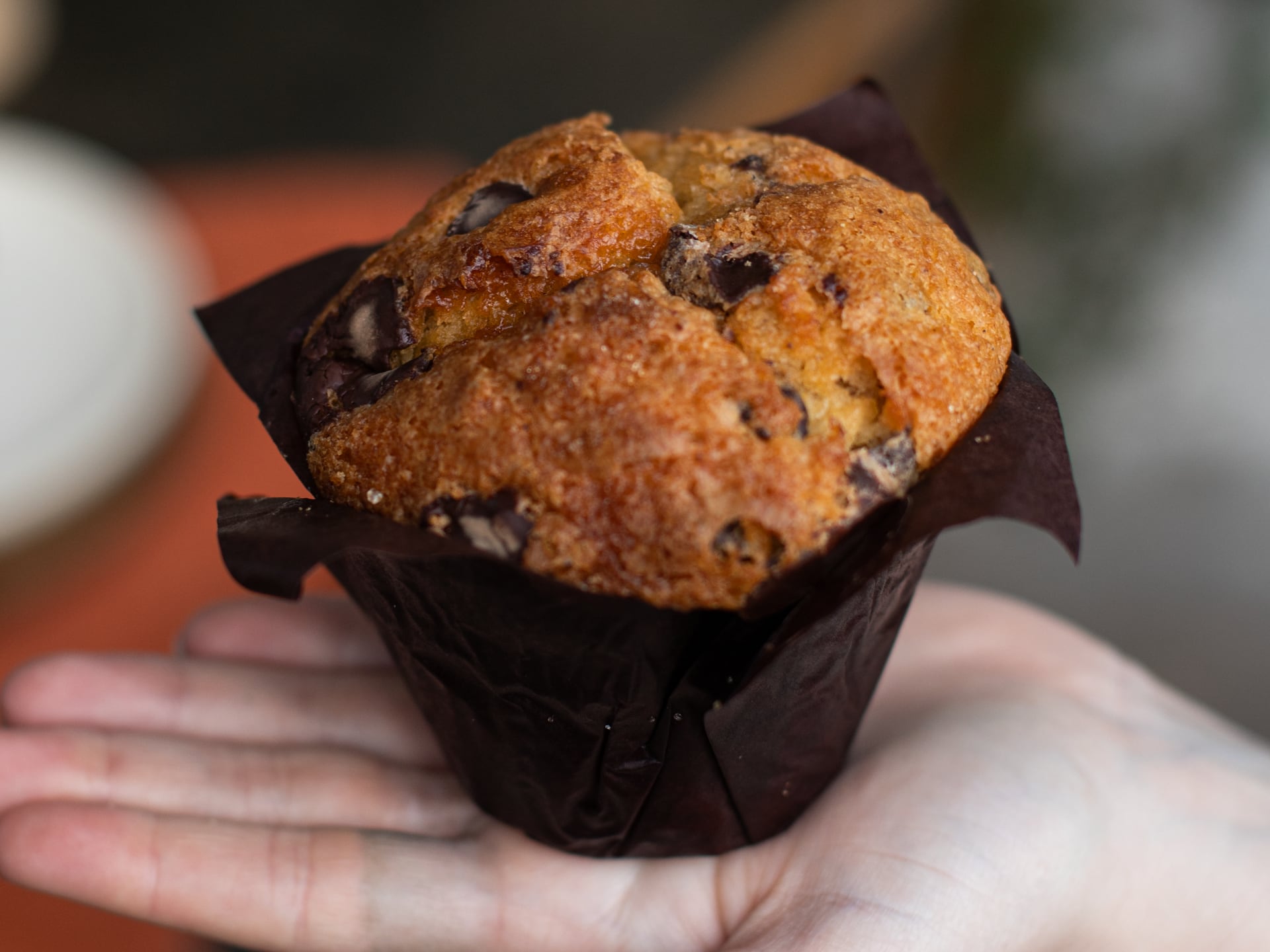 Chocolate chip muffin held in a hand with a blurred background
