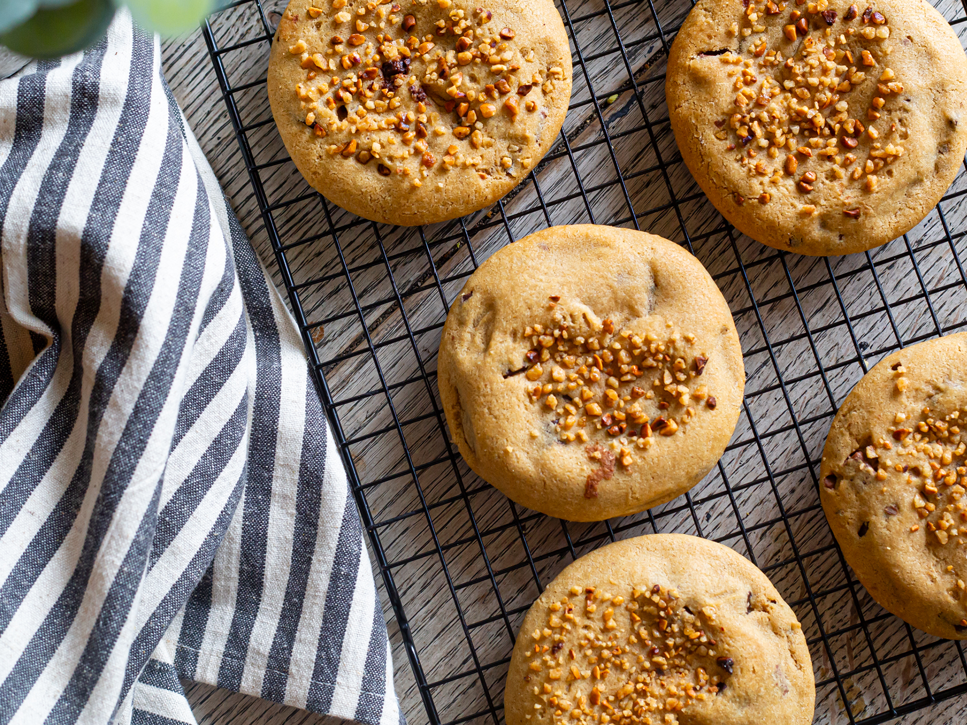 Wholesale cookies filled with hazelnut creme and topped with nibbed hazelnuts