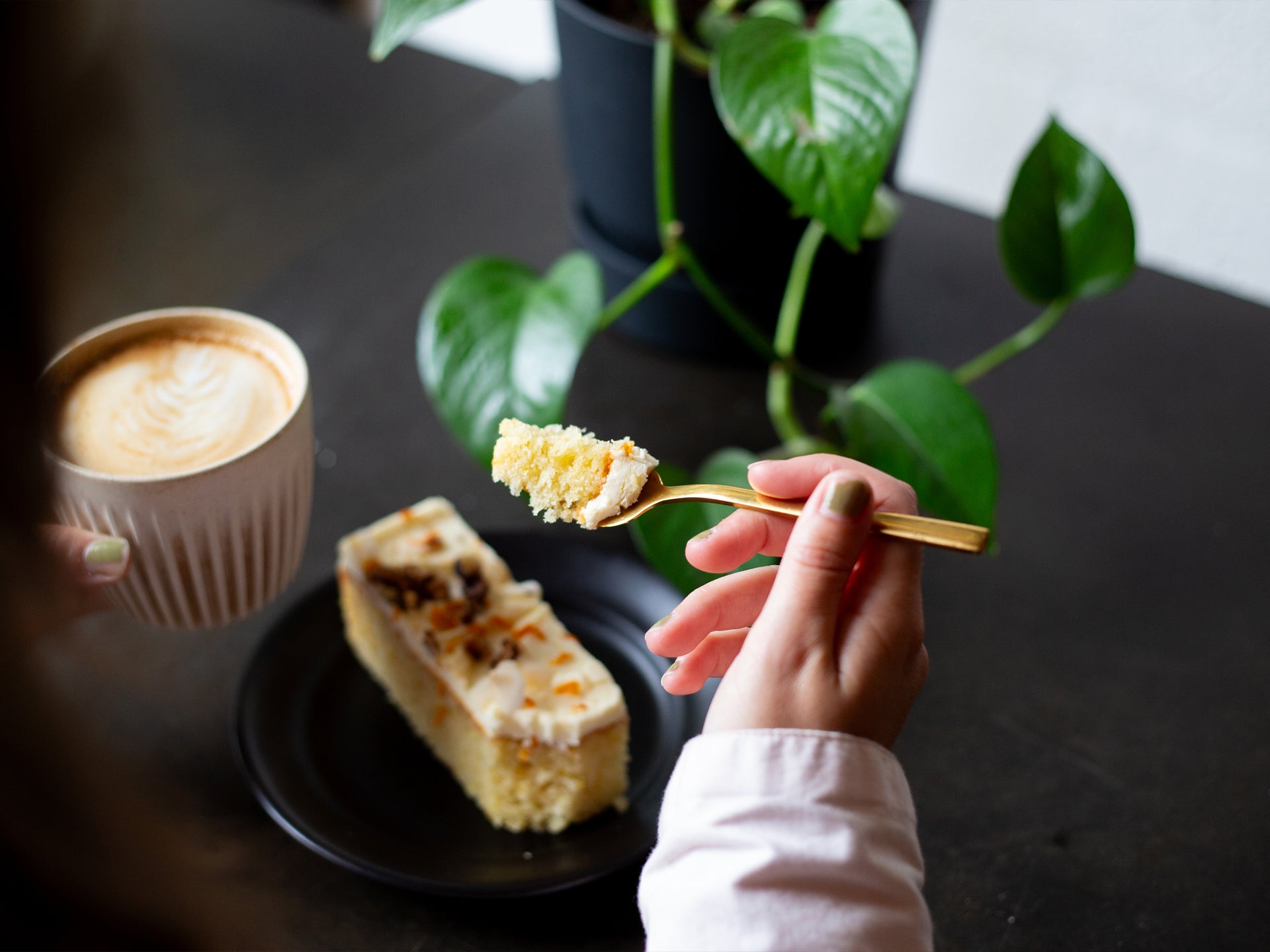 Pair our hummingbird traycake with a latte