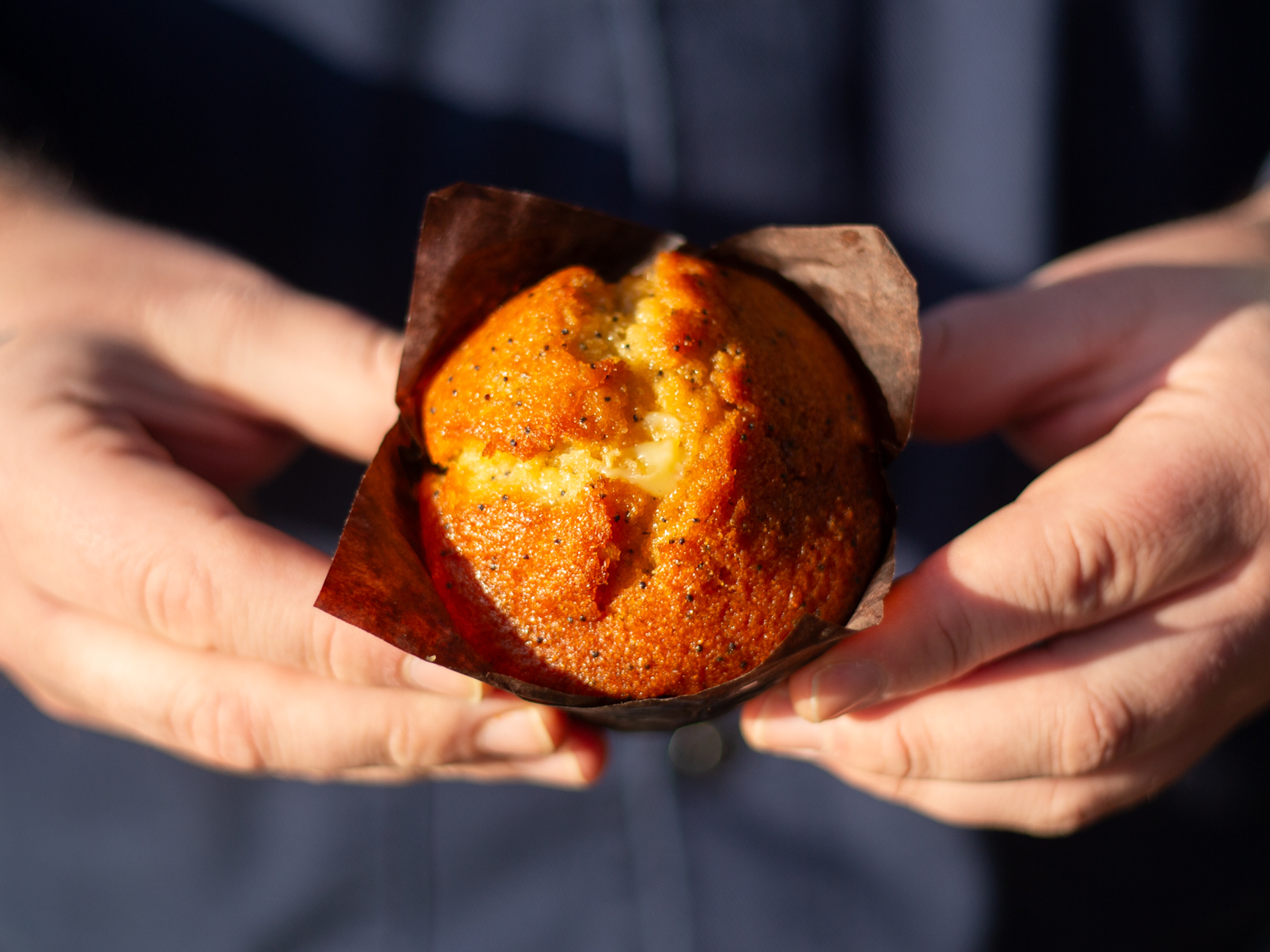 Lemon, Poppyseed & White Chocolate Muffins