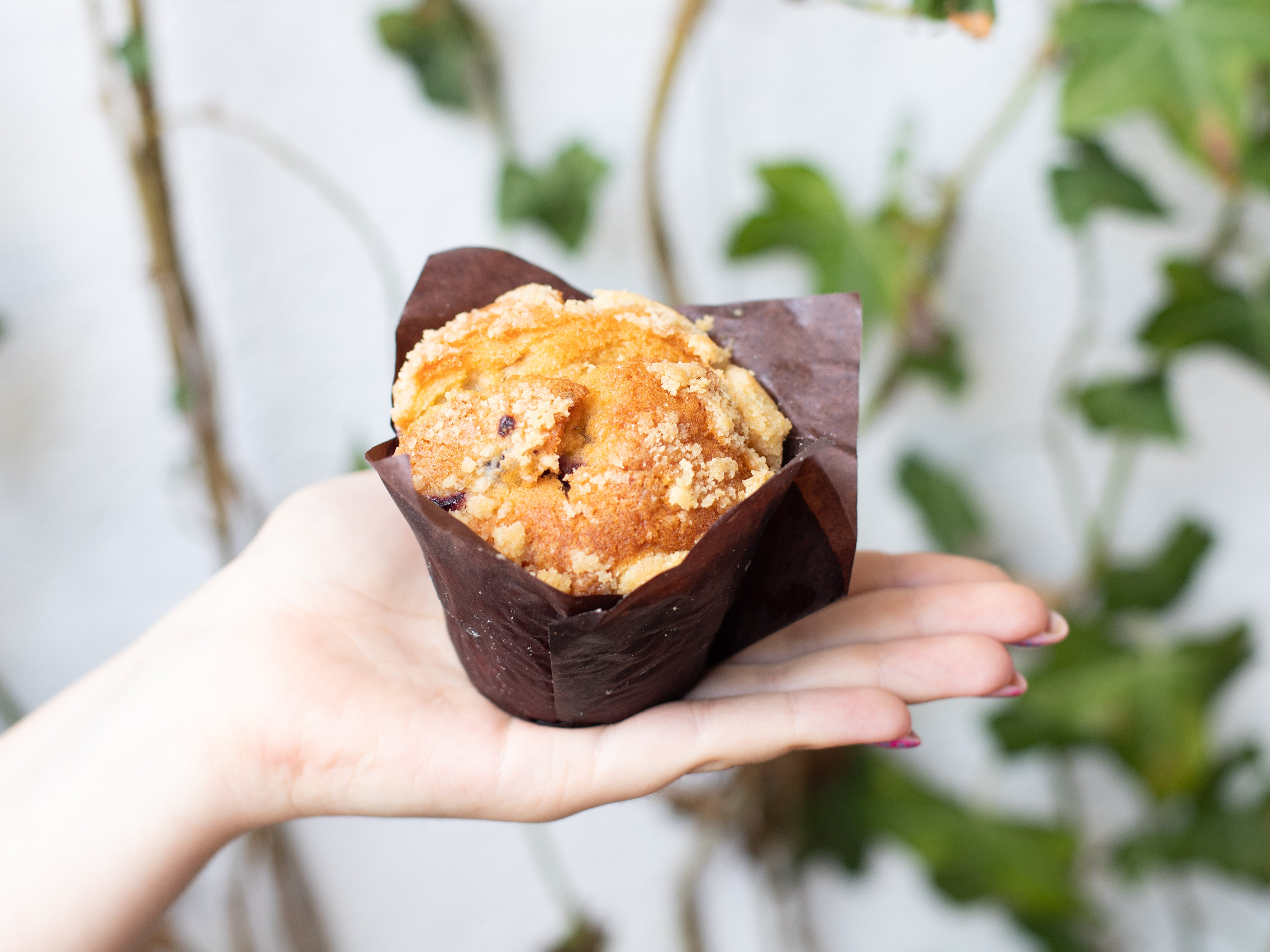Blueberry Muffins