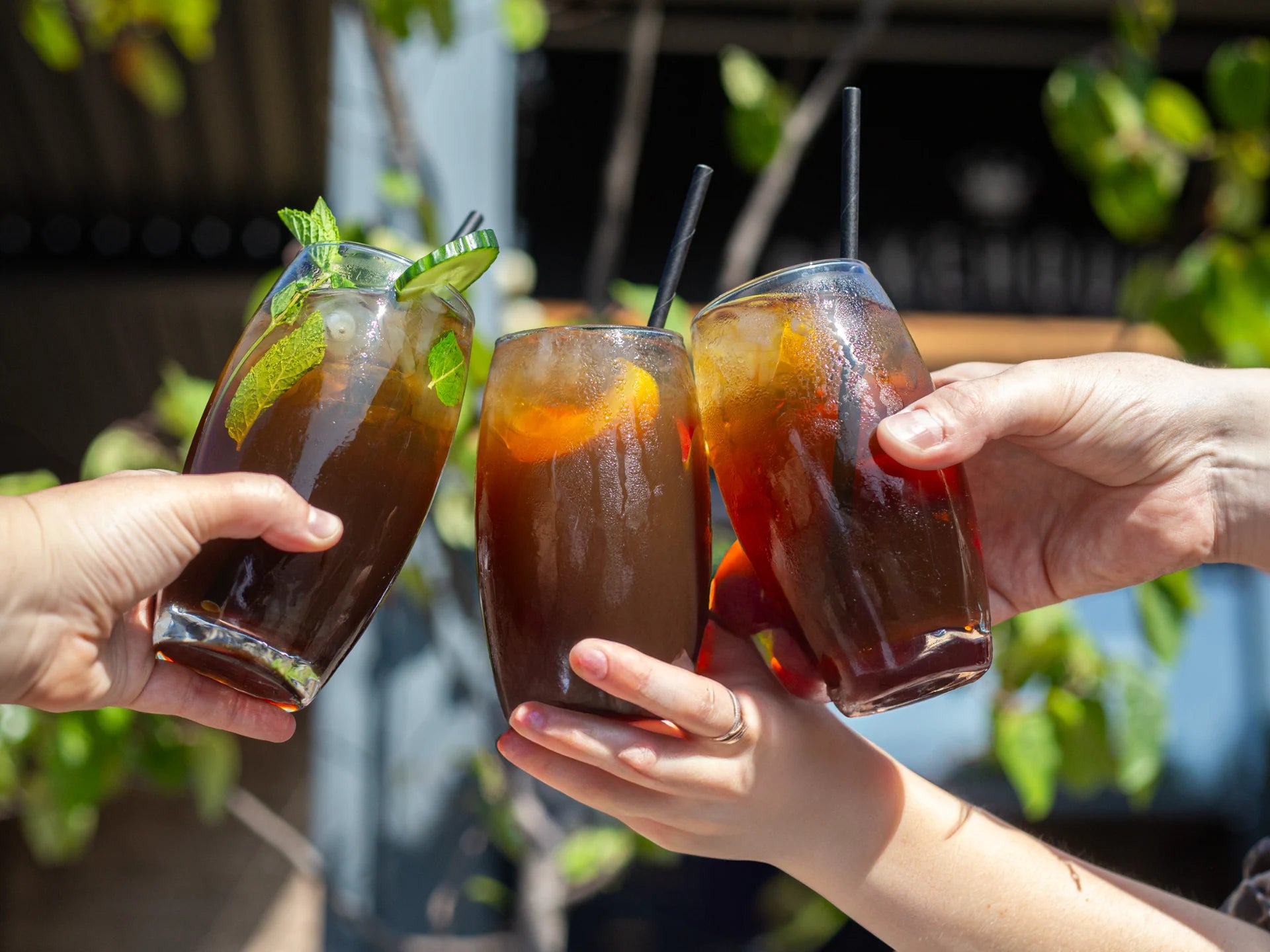 Three hands holding glasses of Alchemy iced tea with lemon and mint leaves against a blurred outdoor background.