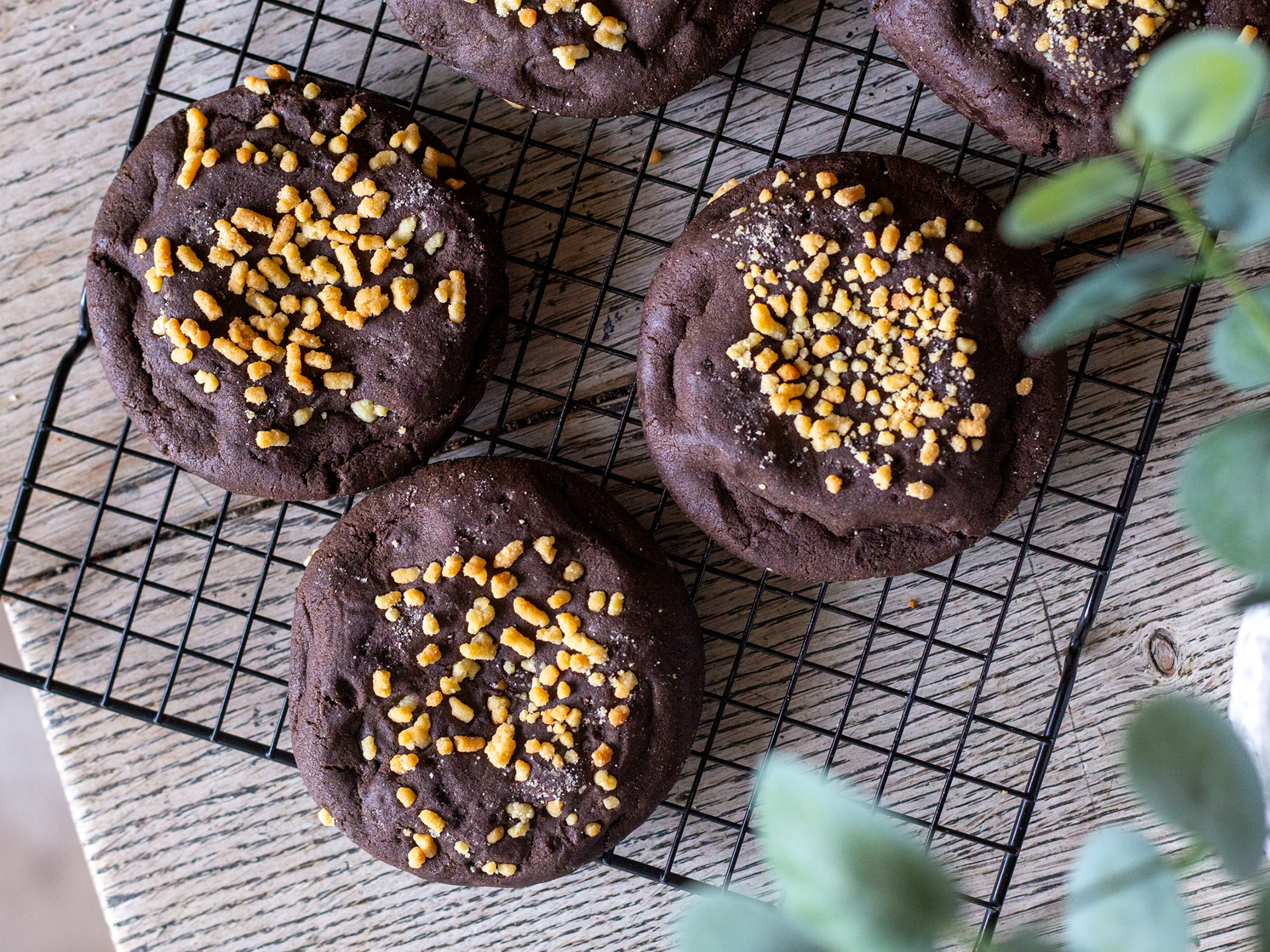 A tray of wholesale Chocolate cookies with shortbread sprinkles on a cooling rack