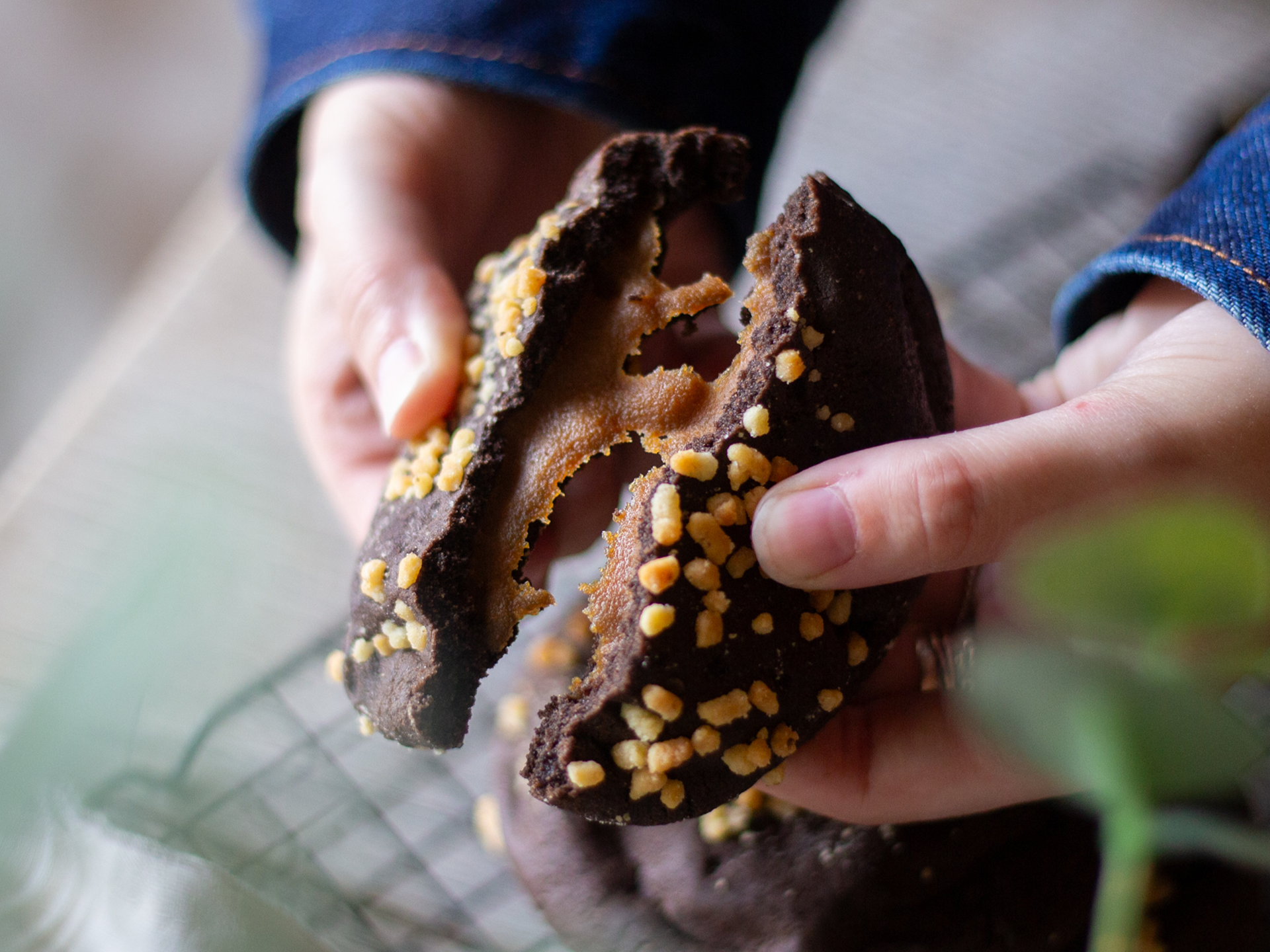 Wholesale Chocolate cookies with shortbread sprinkles and a caramel filling