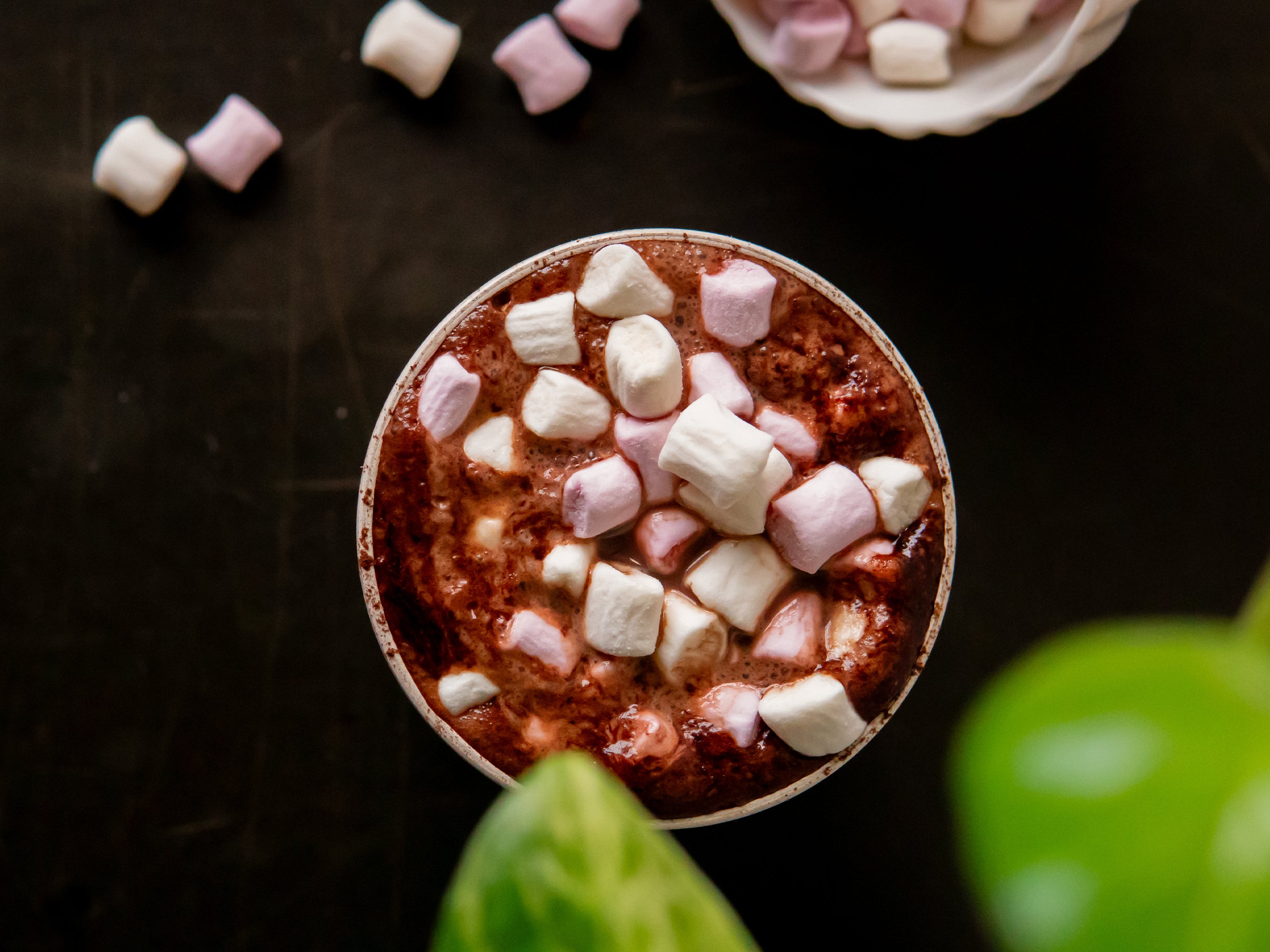 A cup of hot chocolate filled with Blendsmiths vegan marshmallows