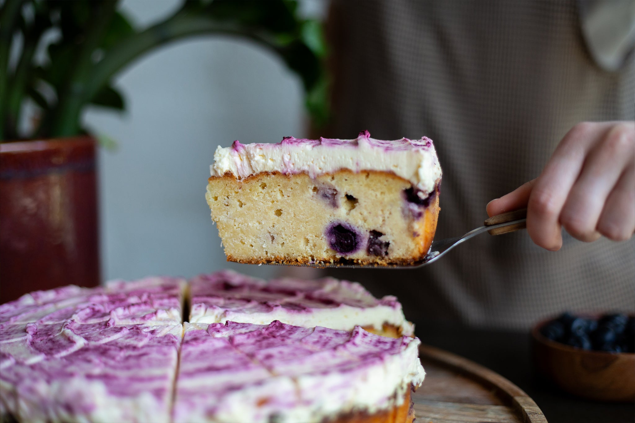 Slice of Blueberry & Lime Round | Cakesmiths for Coffee Shops