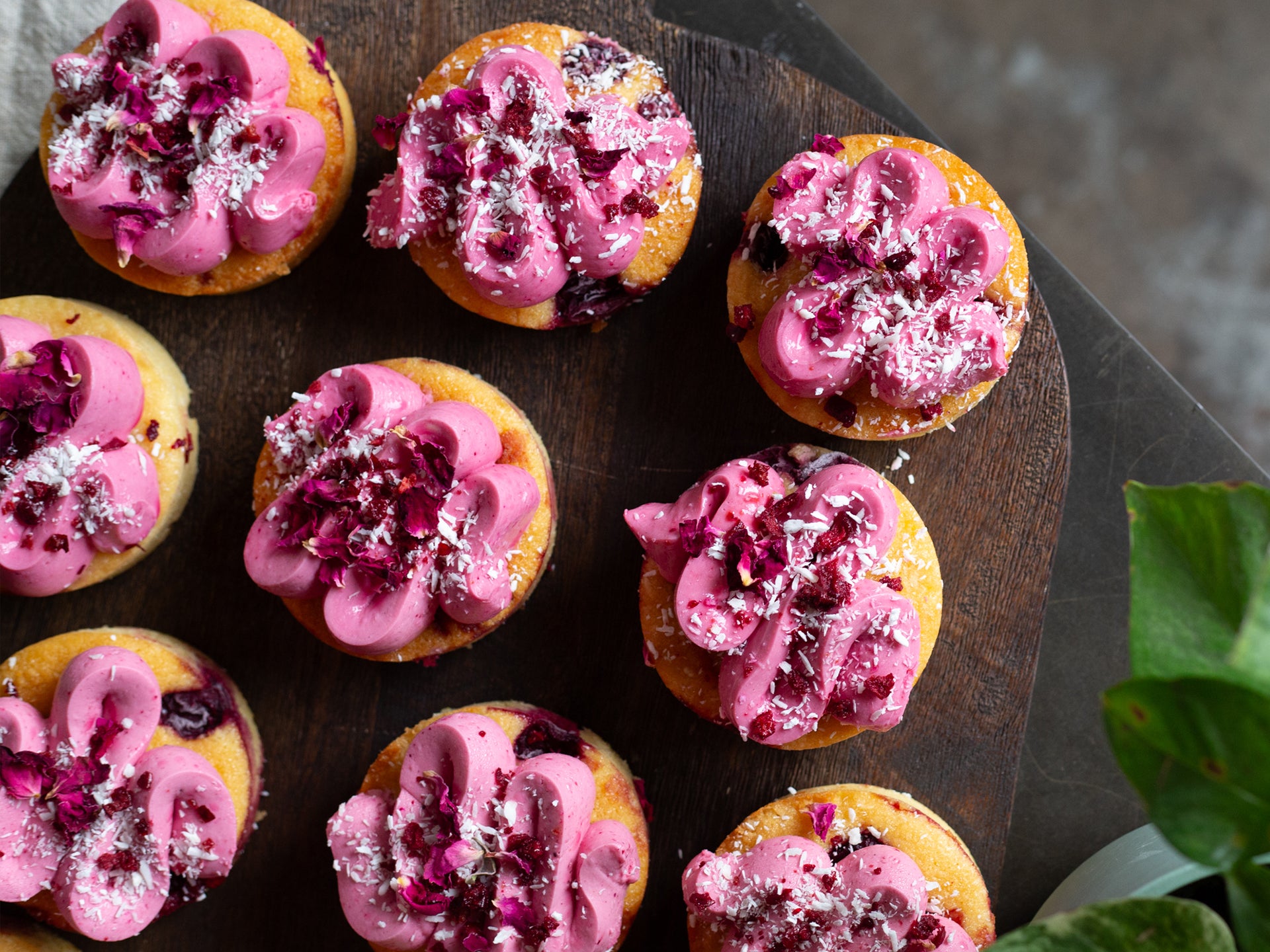 A tray of our Cherry, Coconut & Hibiscus Friands