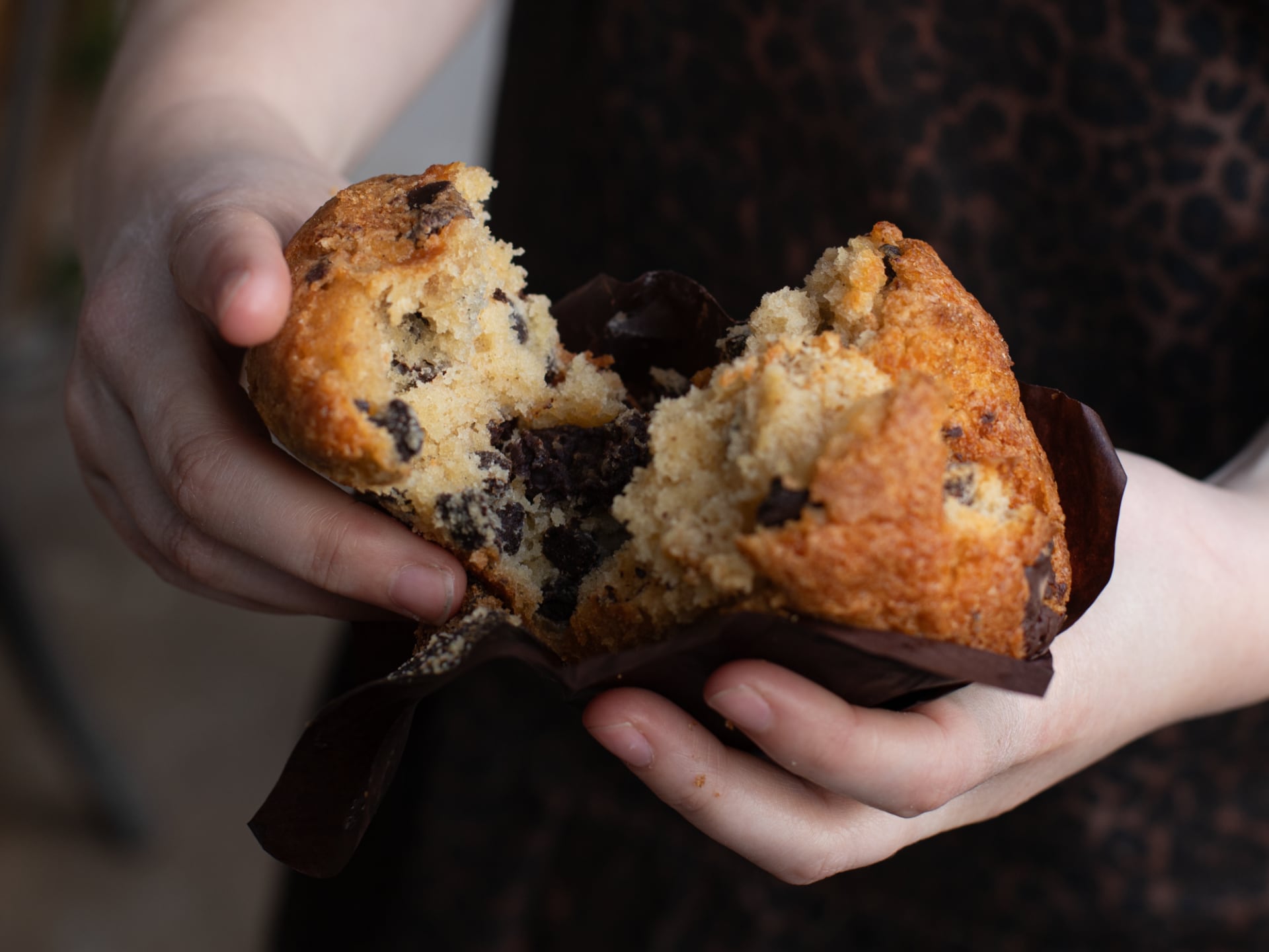 Hands holding a chocolate chip muffin