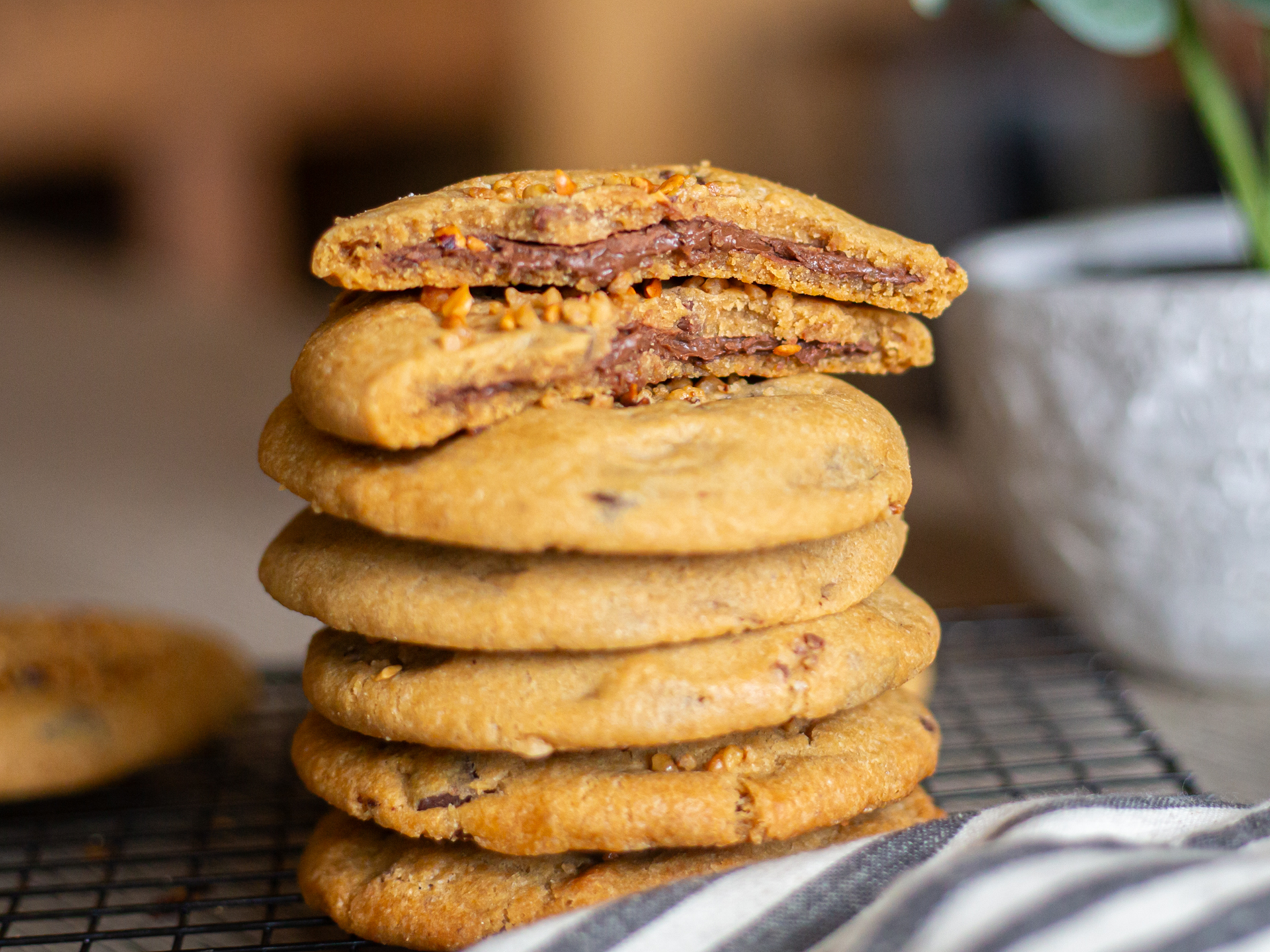 Stack of wholesale cookies filled with hazelnut creme