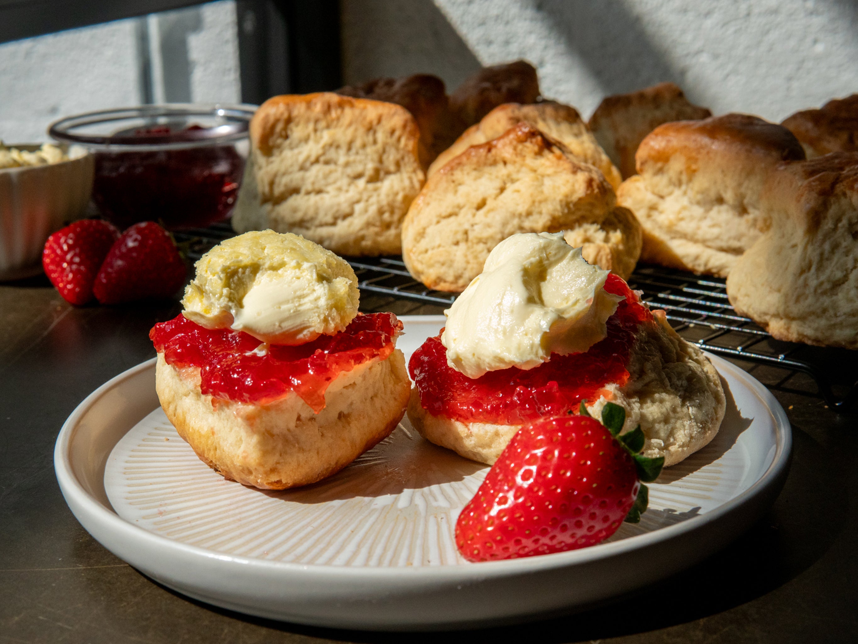 Wholesale clotted cream scones served with cream and jam