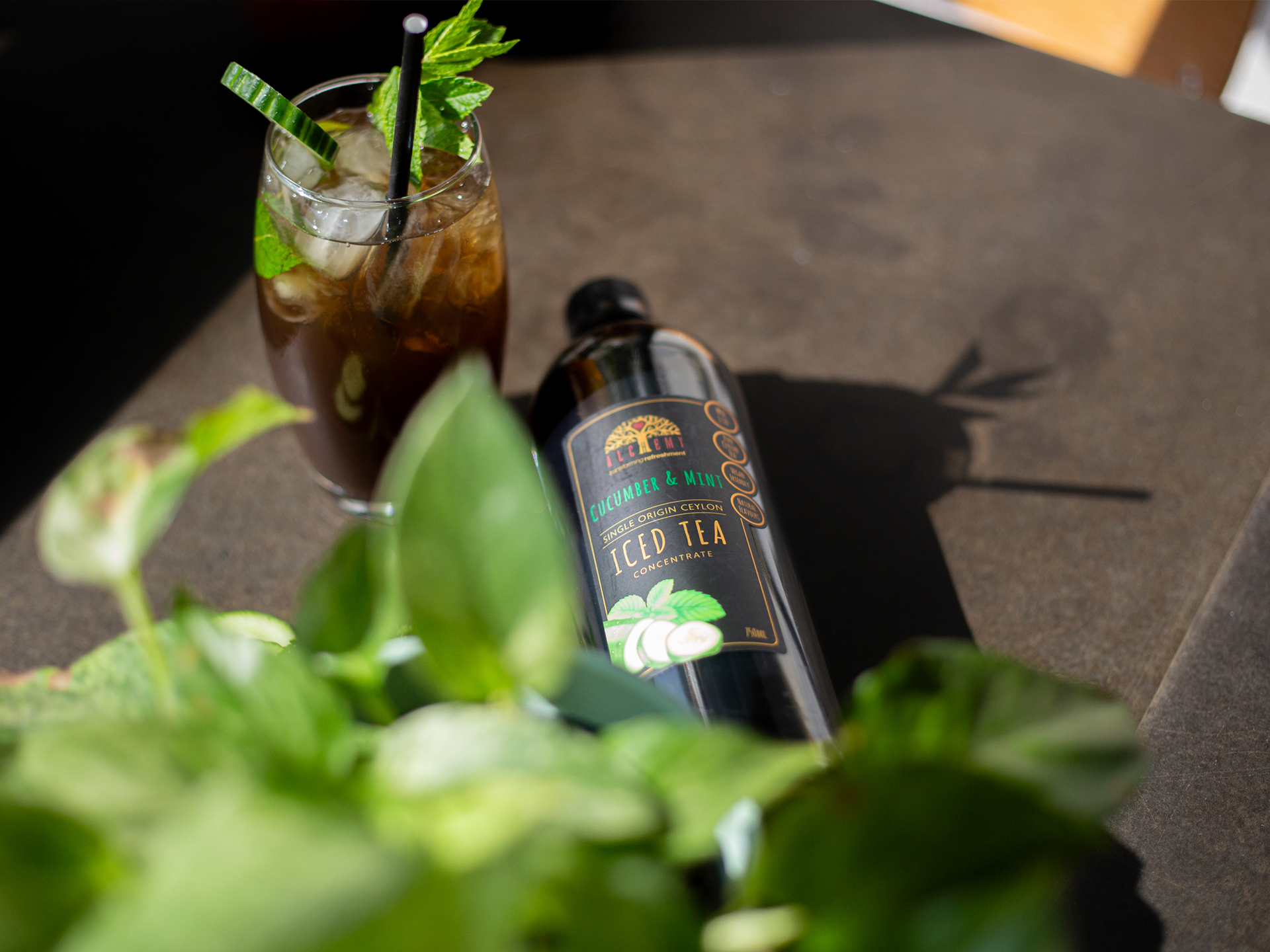 Glass of Alchemy iced tea with a bottle of tea on a table with plants in the foreground