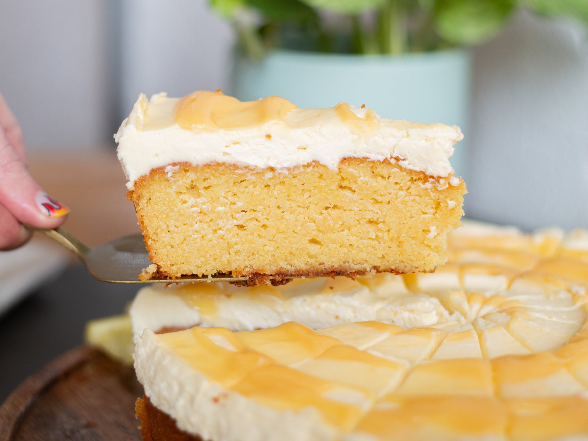 A slice of sicilian lemon and olive oil cake