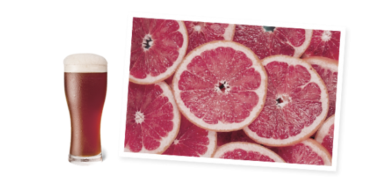Grapefruit IPA Cake