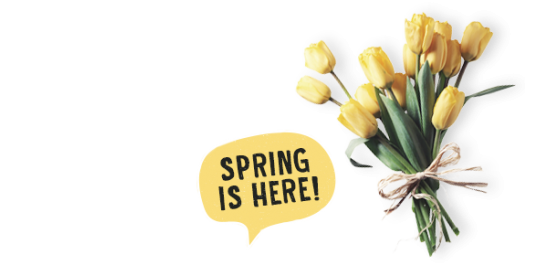 Spring